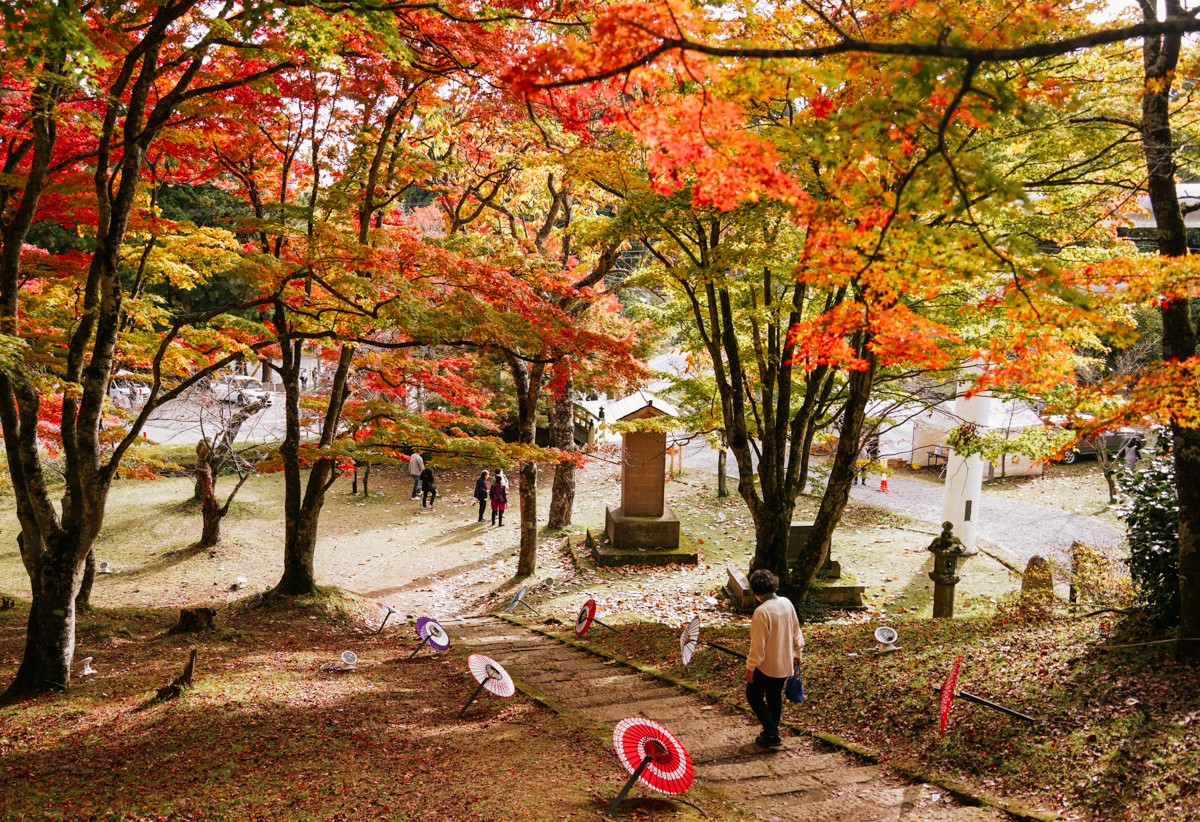 [福島景點]土津神社-福島楓葉季必來!紅葉林中簇擁的白色鳥居神社 @美食好芃友