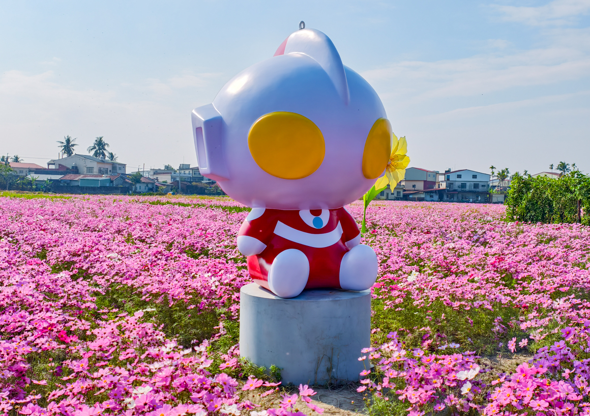 [高雄景點]走春必去2026美濃花海!吃喝玩樂美濃半日遊~美濃美食景點推薦~ @美食好芃友（芃芃）