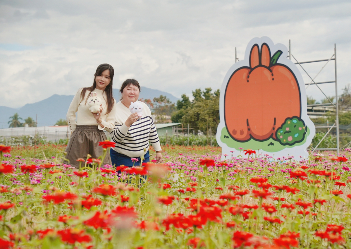 [高雄景點]走春必去2025美濃花海!吃喝玩樂美濃半日遊~美濃美食景點推薦~ @美食好芃友