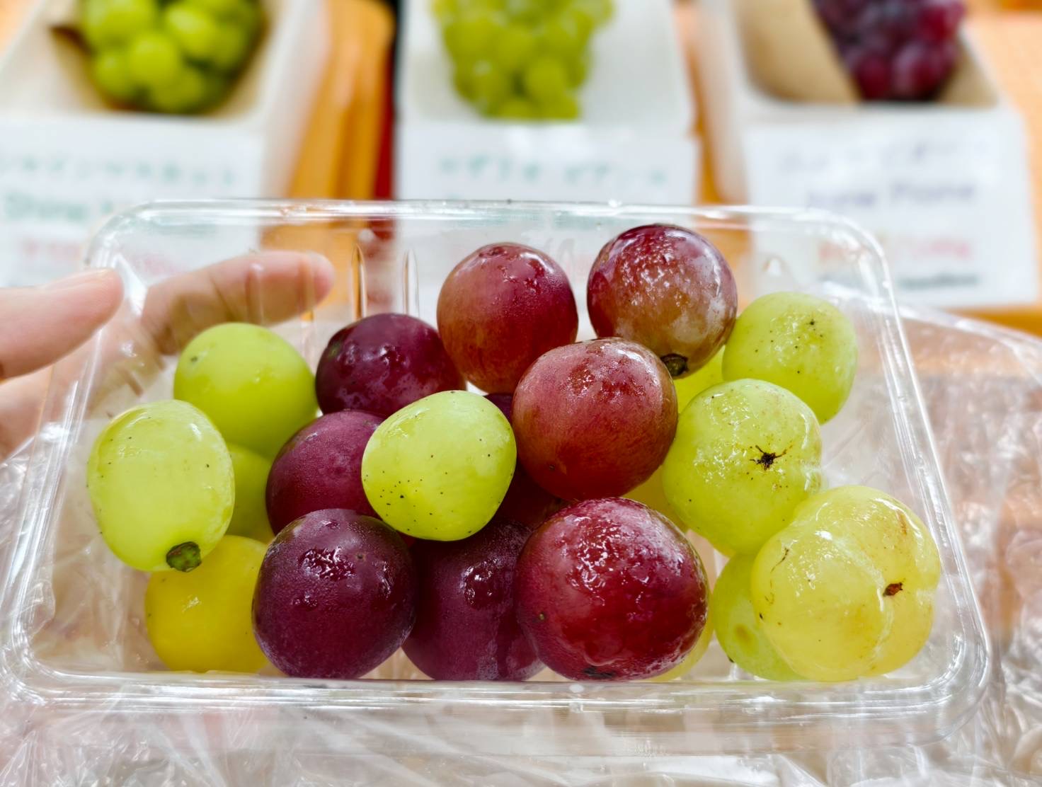 日本岡山自由行輕鬆玩！必去岡山景點、必吃岡山美食、岡山行程建議 @美食好芃友（芃芃）