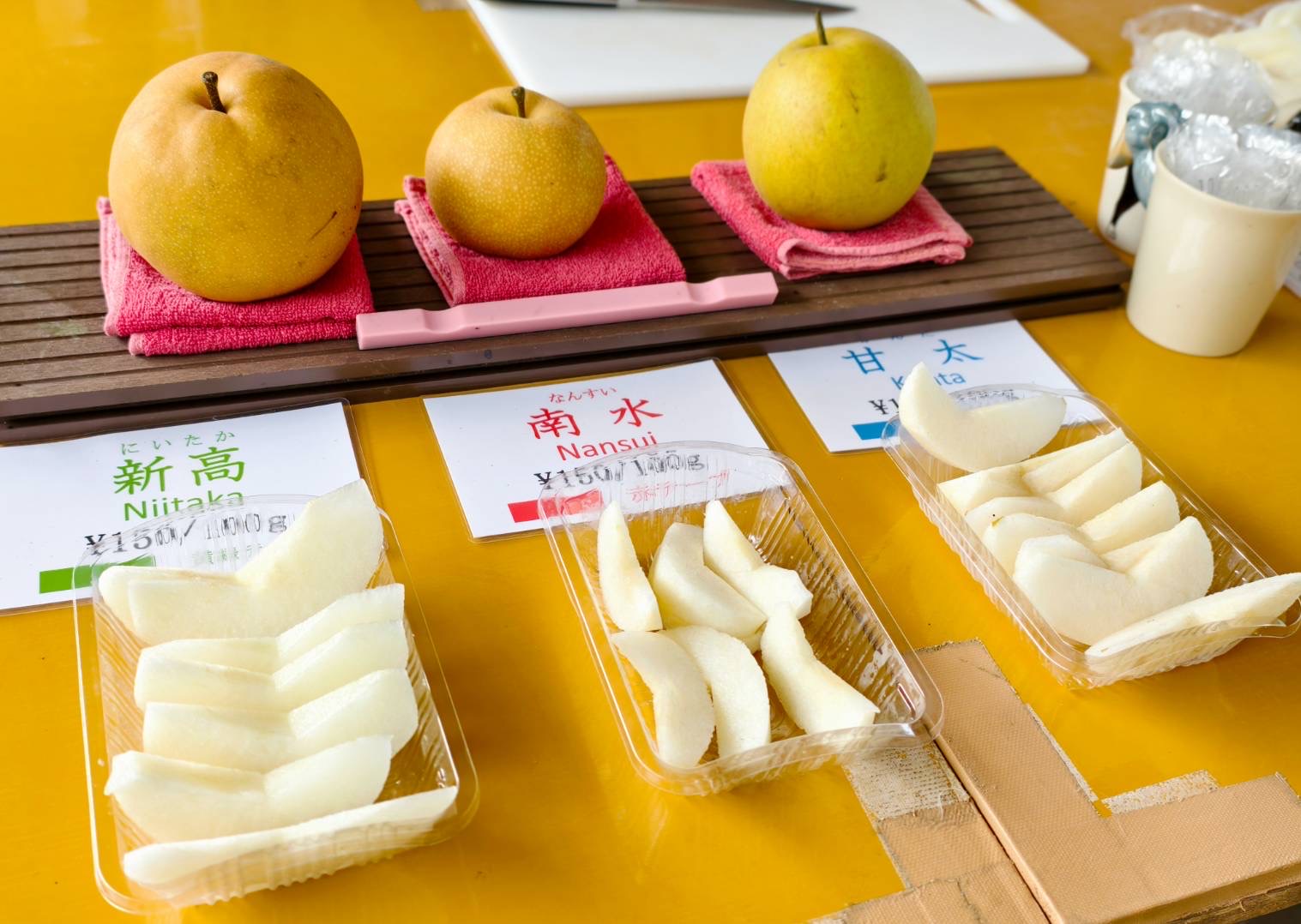 日本岡山自由行輕鬆玩！必去岡山景點、必吃岡山美食、岡山行程建議 @美食好芃友（芃芃）