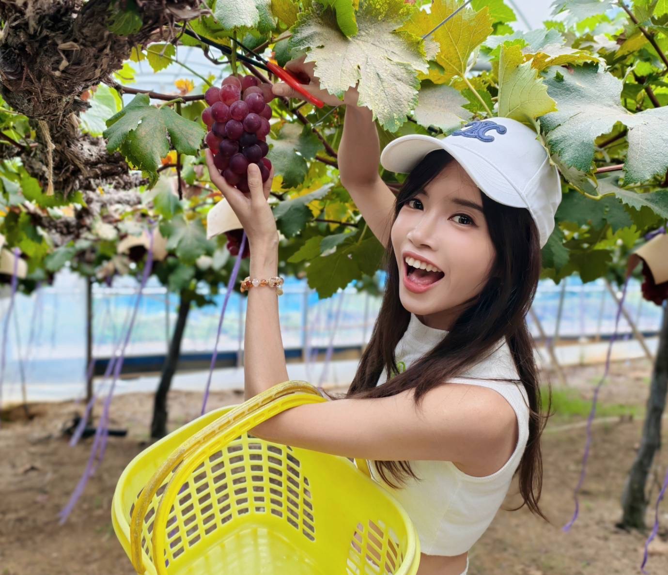 日本岡山自由行輕鬆玩！必去岡山景點、必吃岡山美食、岡山行程建議 @美食好芃友（芃芃）