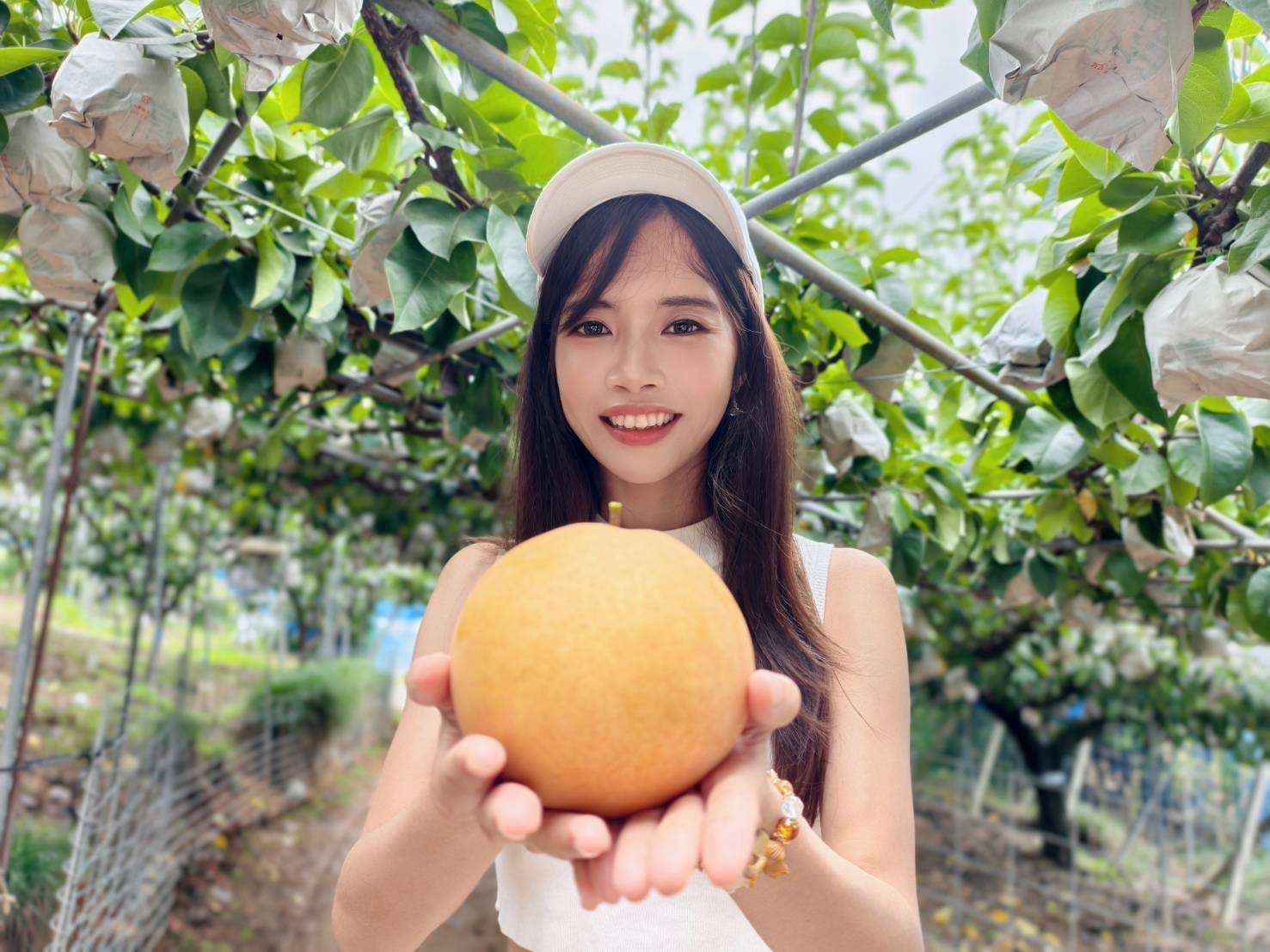 日本岡山自由行輕鬆玩！必去岡山景點、必吃岡山美食、岡山行程建議 @美食好芃友（芃芃）