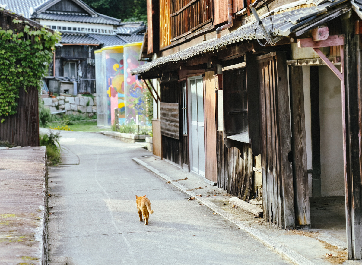 [日本旅遊]岡山犬島半日遊：是不是瀨戶內國際藝術祭都必去的犬島藝術之旅~行程規劃建議 @美食好芃友（芃芃）