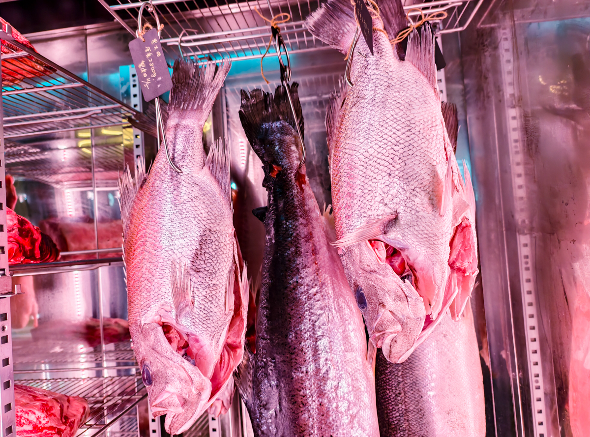 [高雄燒肉推薦]明燒肉文自旗艦店-海鮮控和牛控都來!超有儀式感高雄燒肉無菜單!最扯的雙人帝王蟹燒肉套餐 @美食好芃友（芃芃）