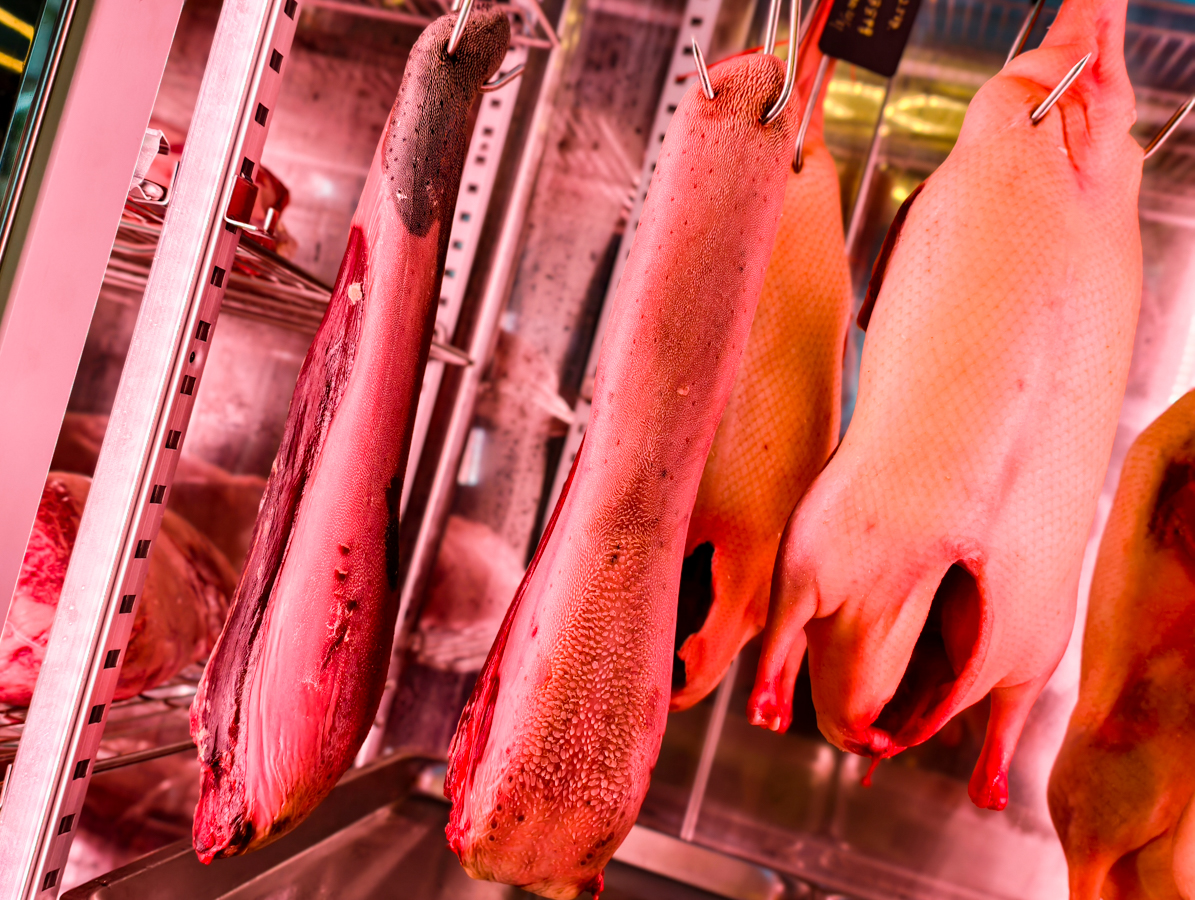 [高雄燒肉推薦]明燒肉文自旗艦店-海鮮控和牛控都來!超有儀式感高雄燒肉無菜單!最扯的雙人帝王蟹燒肉套餐 @美食好芃友（芃芃）