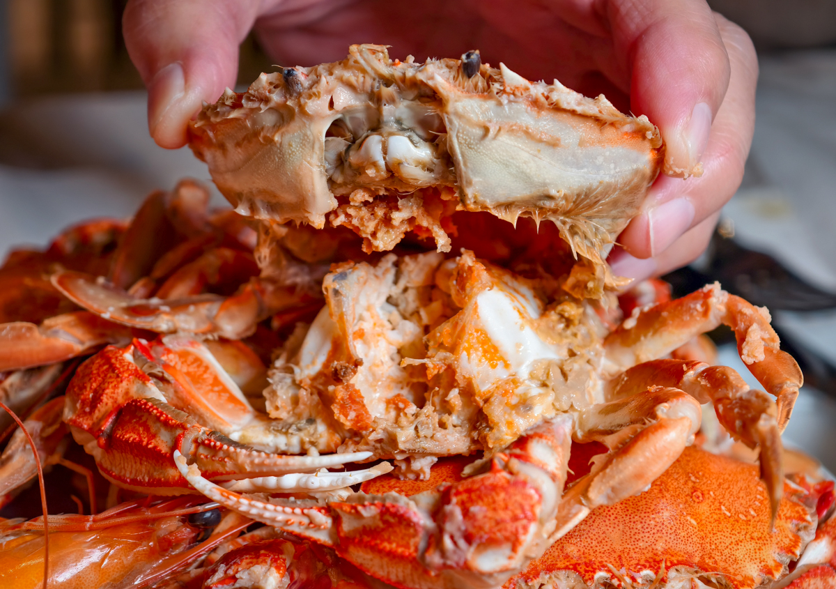 [高雄]高雄日航SERENA全日餐廳-高雄自助餐秋冬吃蟹第一選擇!有爆蛋紅蟳的螃蟹山! @美食好芃友（芃芃）