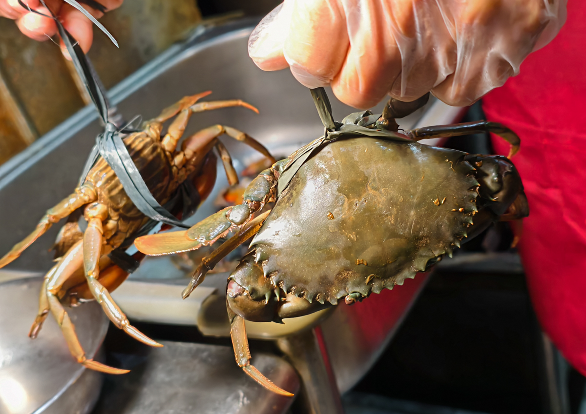 [高雄]鮮記螃蟹海產粥-最高CP值高雄螃蟹粥!滿滿蟹黃活體紅蟳粥500多元就能吃到~ @美食好芃友（芃芃）