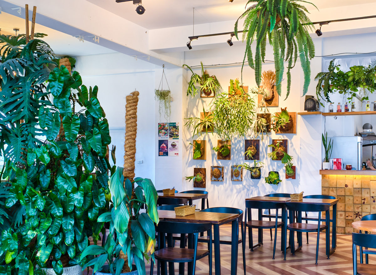 [墾丁]肥貓南洋餐室-墾丁恆春必去南洋風餐廳~一秒出國的森林系盆栽!必點叻沙麵、泰式海鮮酸辣麵 @美食好芃友（芃芃）