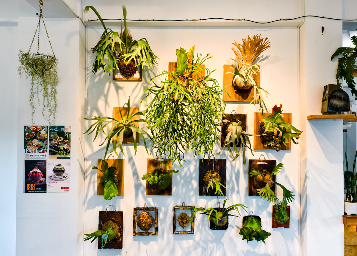 [墾丁]肥貓南洋餐室-墾丁恆春必去南洋風餐廳~一秒出國的森林系盆栽!必點叻沙麵、泰式海鮮酸辣麵 @美食好芃友（芃芃）