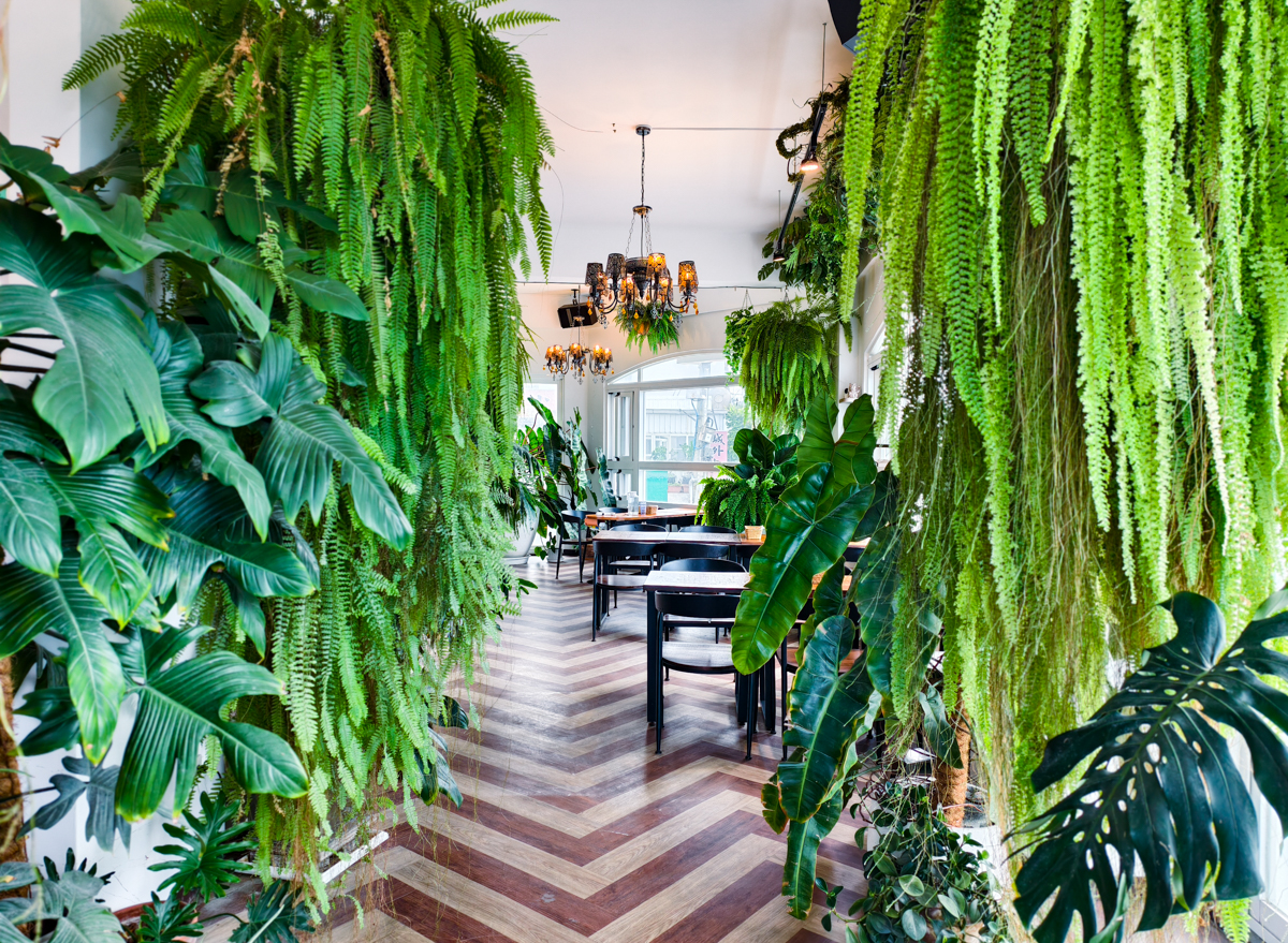 [墾丁]肥貓南洋餐室-墾丁恆春必去南洋風餐廳~一秒出國的森林系盆栽!必點叻沙麵、泰式海鮮酸辣麵 @美食好芃友（芃芃）