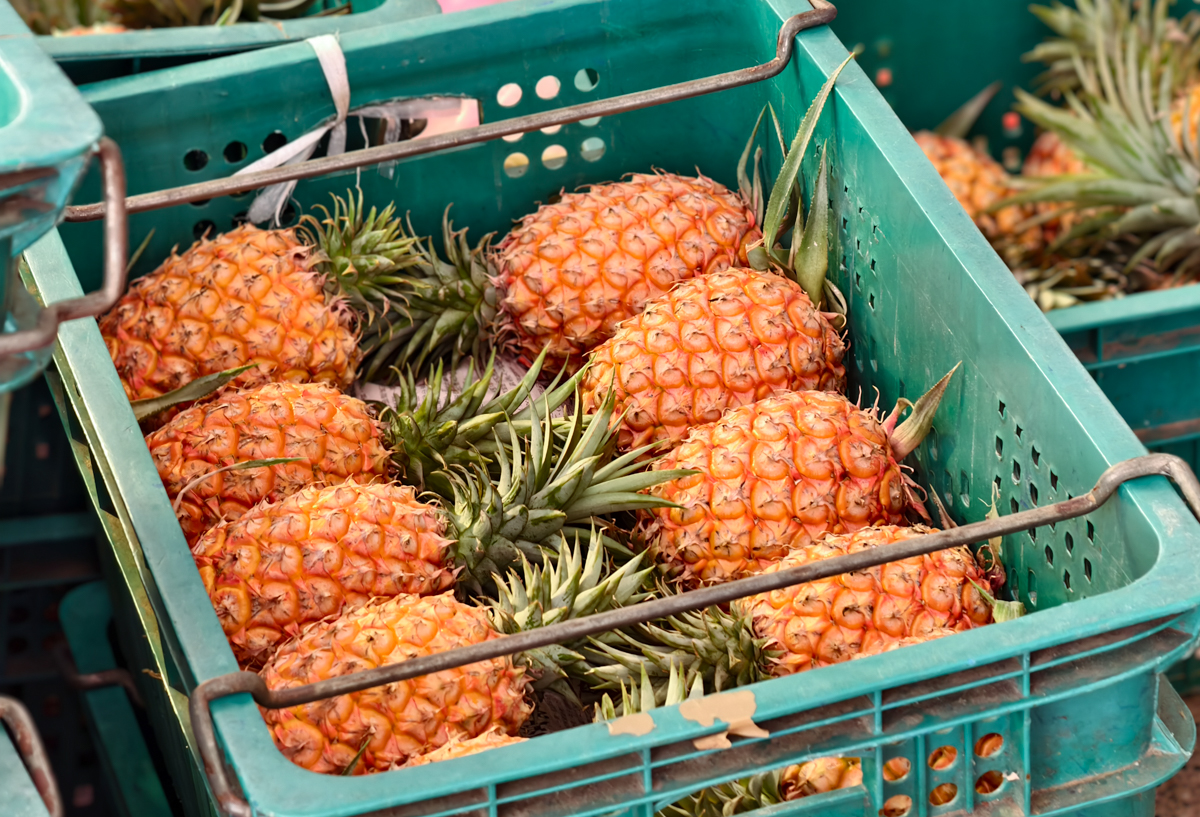 [高雄]內惟市場現削鳳梨-買鳳梨還要抽號碼牌?每日兩小時完售超甜自種大樹鳳梨 @美食好芃友（芃芃）