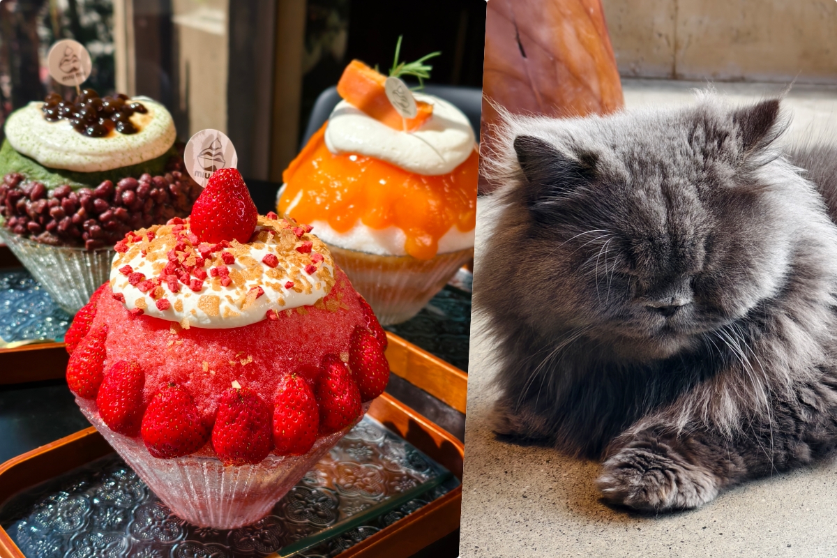 [高雄]功夫港式煲仔飯-平價道地港式煲飯!左營舊城旁隱藏版小店 高雄蓮池潭美食推薦 @美食好芃友（芃芃）