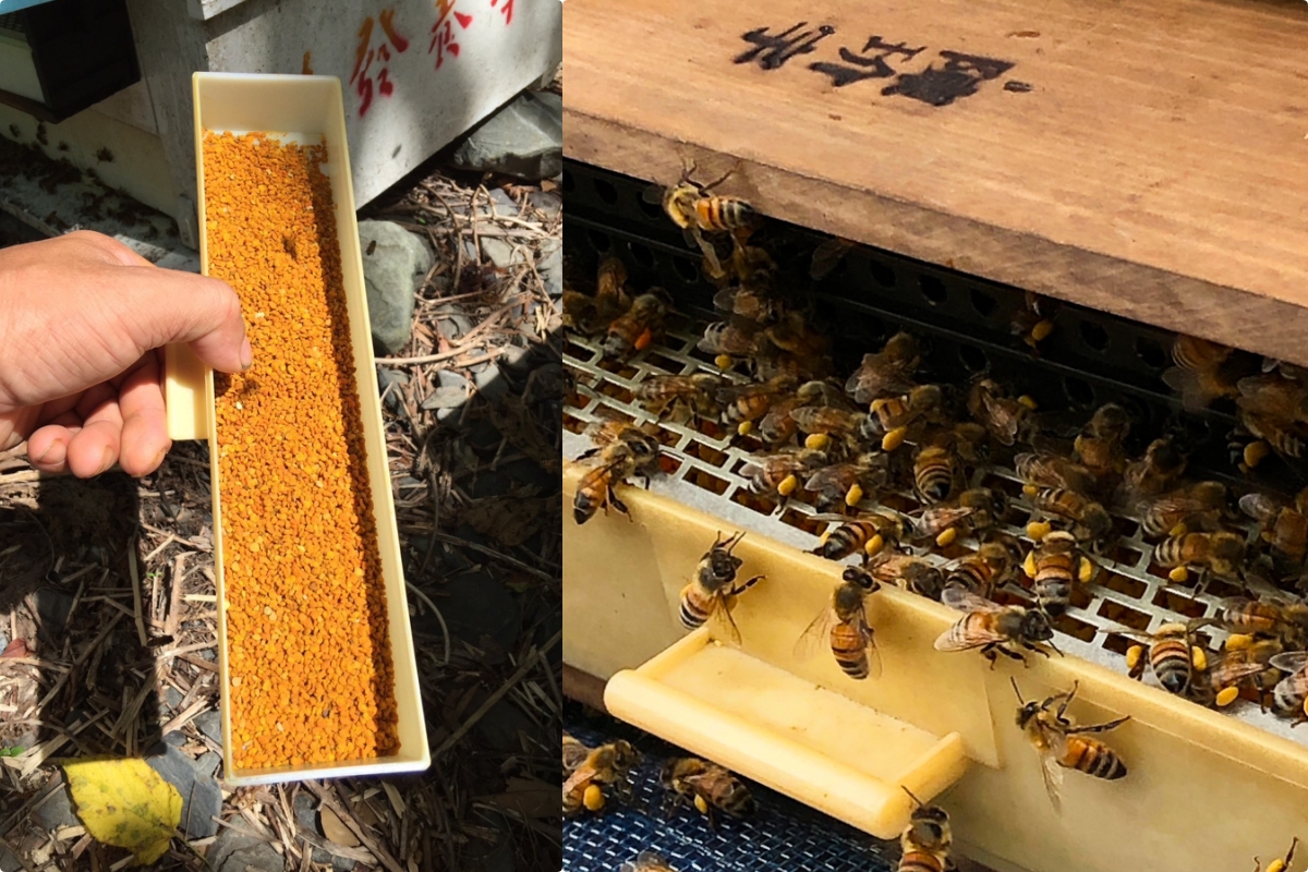 【高雄伴手禮推薦】大崗山龍眼蜂蜜推薦!傳承三代裕發養蜂場龍眼蜜!最體面送禮選擇!花香濃郁頂級高雄蜂蜜 @美食好芃友（芃芃）