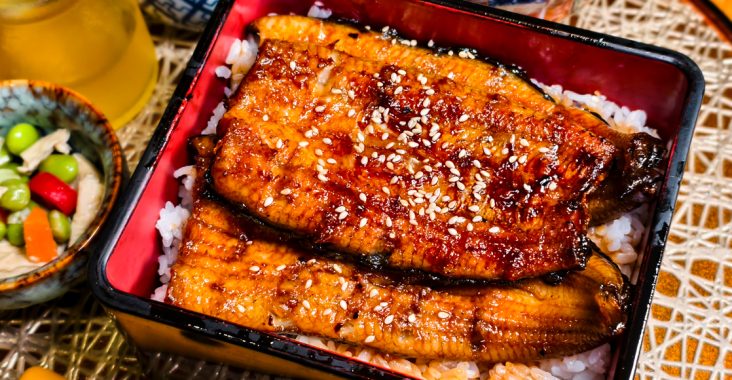 [高雄]鰻心丼-文山特區超人氣高雄鰻魚飯專賣!好吃實在炭烤鰻魚x 鰻牛滿釜飯! @美食好芃友（芃芃）