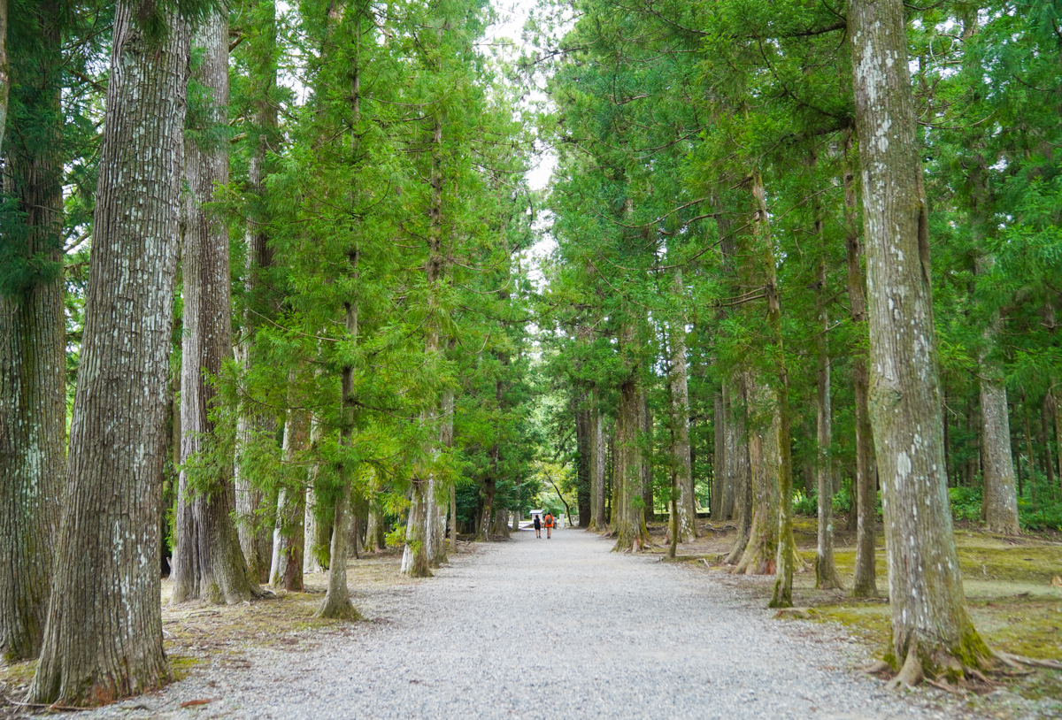 [和歌山景點]日本第一大鳥居出發!大齋原、熊野本宮大社半日遊行程建議走法 @美食好芃友（芃芃）