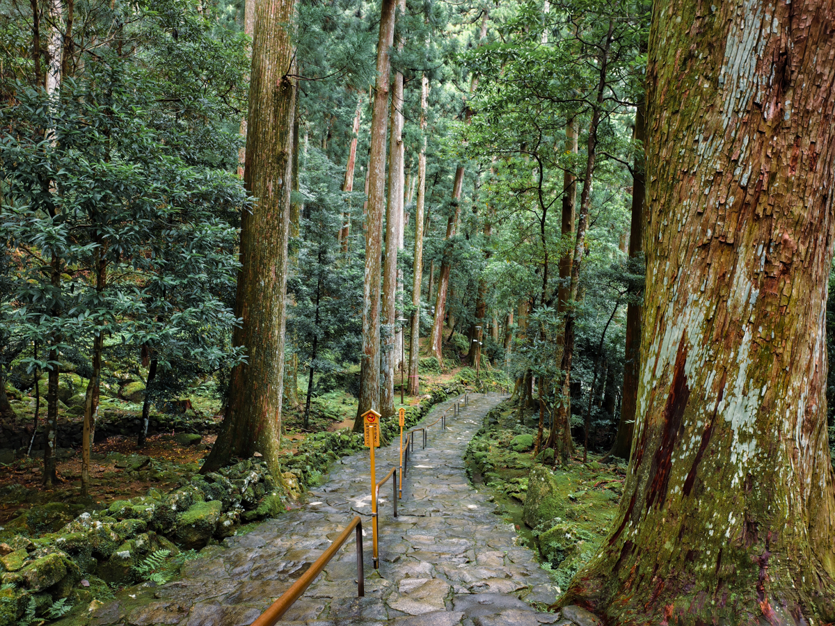 [和歌山景點]一個早上走完熊野古道大門坂＋那智大社＋那智瀑布！3小時完攻行程、路線攻略 @美食好芃友（芃芃）
