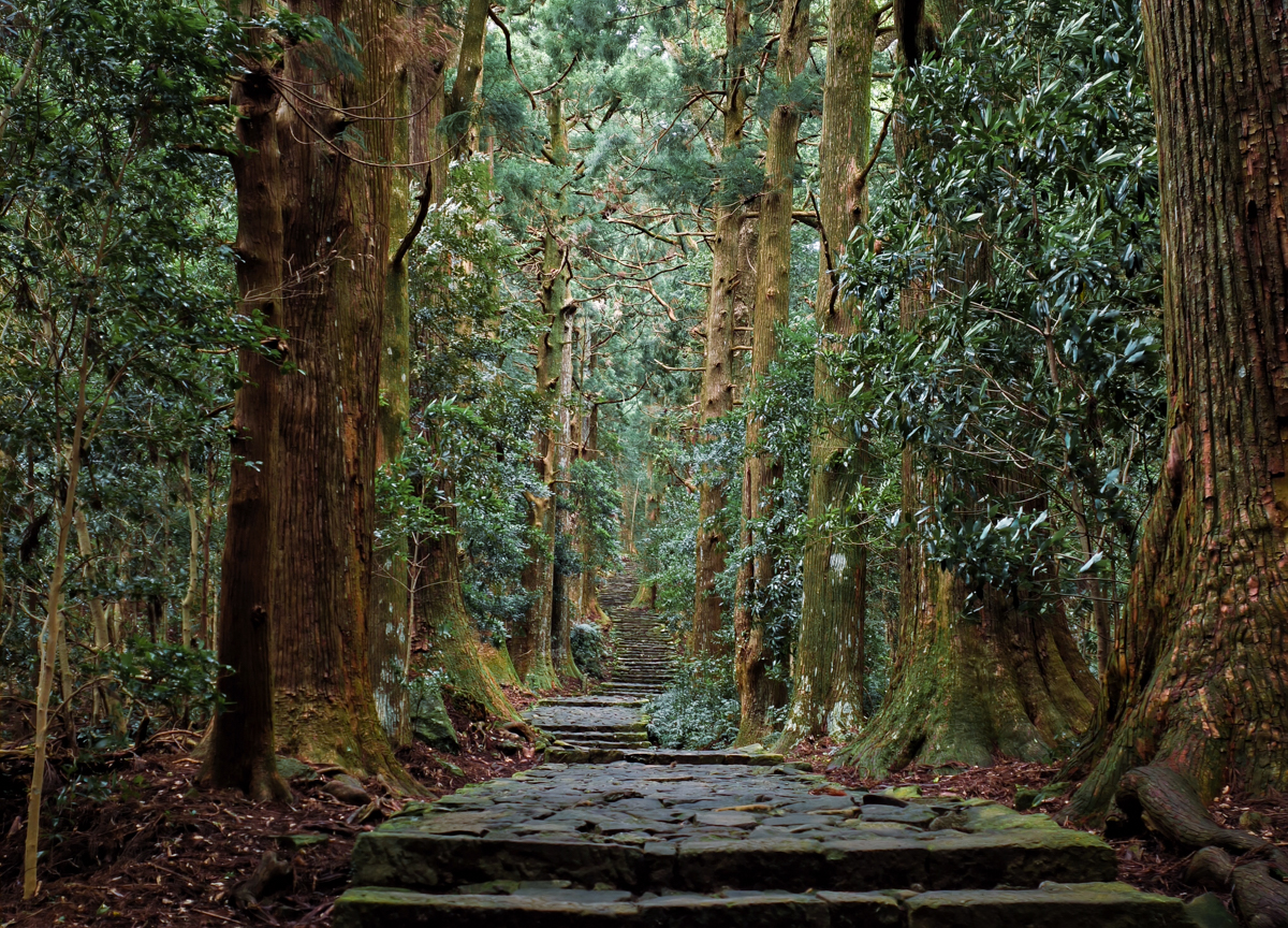[和歌山景點]一個早上走完熊野古道大門坂＋那智大社＋那智瀑布！3小時完攻行程、路線攻略 @美食好芃友（芃芃）