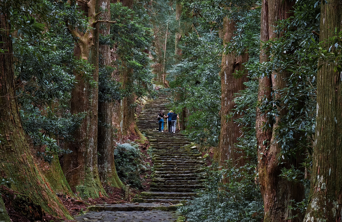 [和歌山景點]一個早上走完熊野古道大門坂＋那智大社＋那智瀑布！3小時完攻行程、路線攻略 @美食好芃友（芃芃）