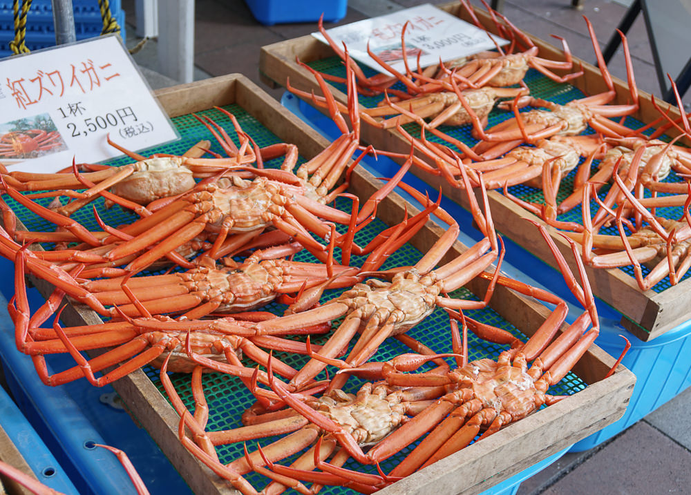 [北陸富山旅遊]新湊きっときと市場-大吃富山灣新鮮海味!便宜大螃蟹不可錯過 @美食好芃友