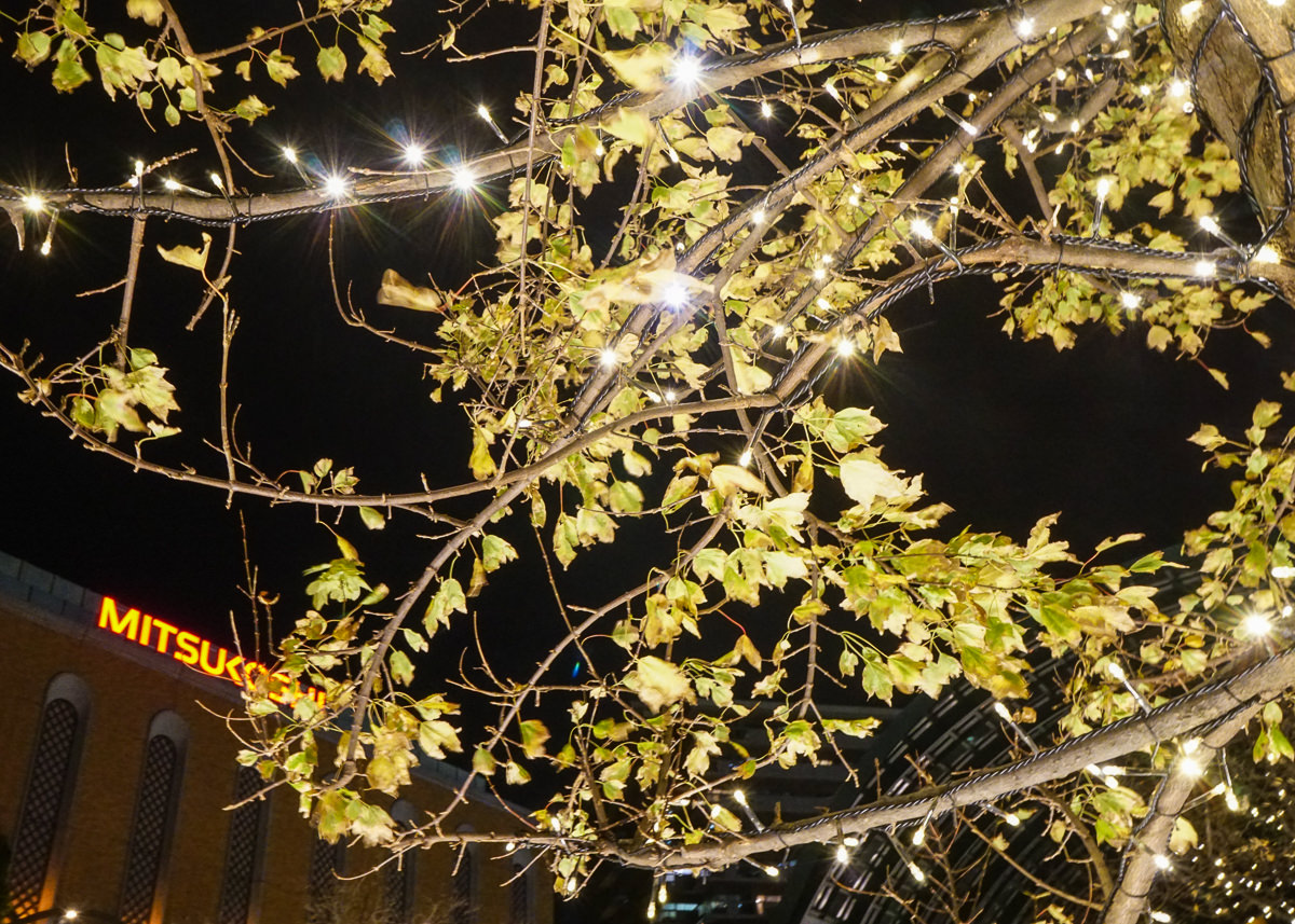 [東京聖誕點燈]惠比壽花園廣場-惠比壽站日劇經典取景場景~來走一趟夢幻聖誕大道 @美食好芃友