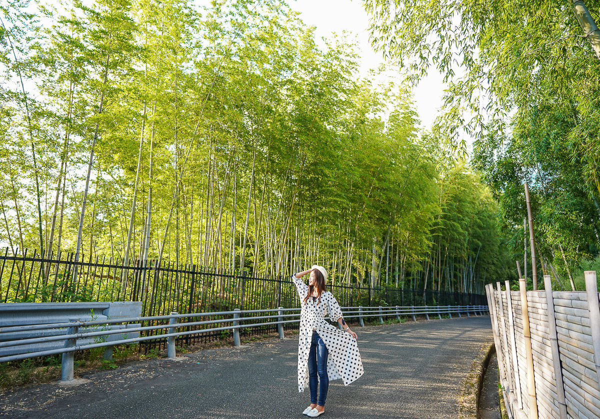 [京都景點推薦]京都向日竹の径.竹林公園-比嵐山更幽靜的京都竹林小徑 @美食好芃友