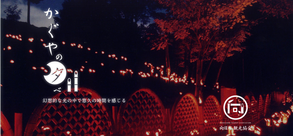[京都景點推薦]京都向日竹の径.竹林公園-比嵐山更幽靜的京都竹林小徑 @美食好芃友