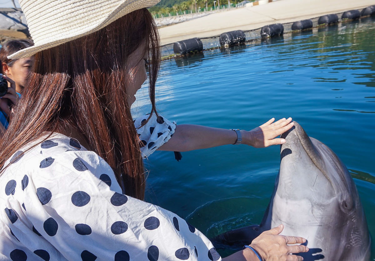 [愛媛景點推薦]Dolphin Farm Shimanami-與海豚近距離接觸!親親抱抱都來~ @美食好芃友